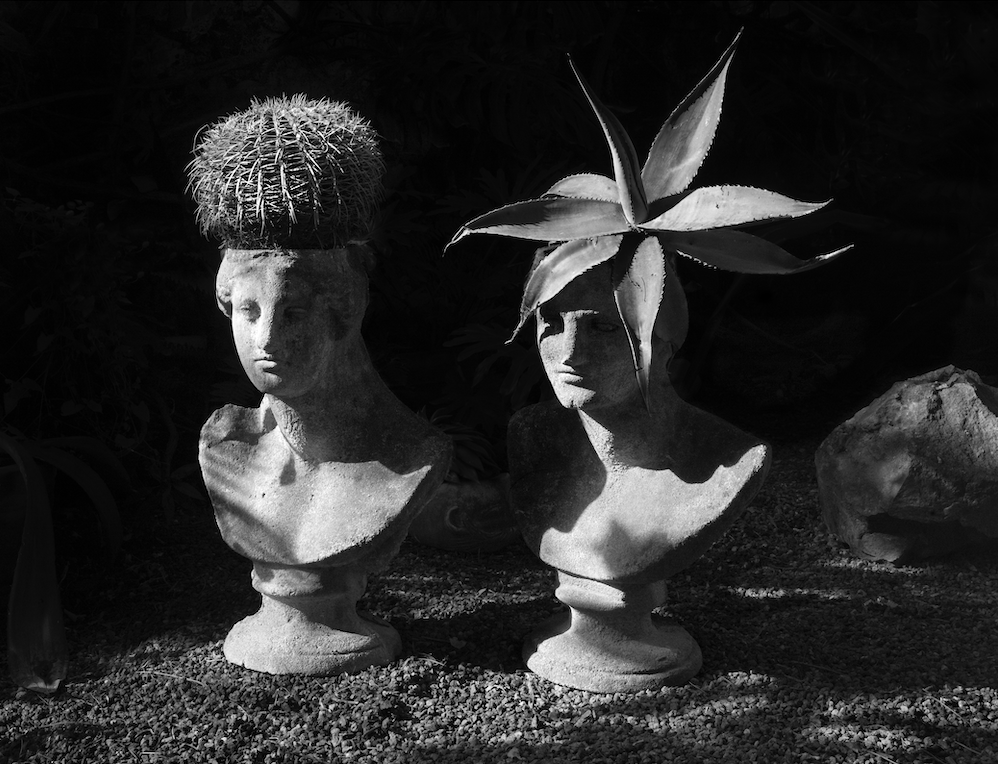 Screenshot 2026 02 26 alle 12.09.39 PM